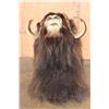 Image 7 : XXL MUSKOX Shoulder Mount