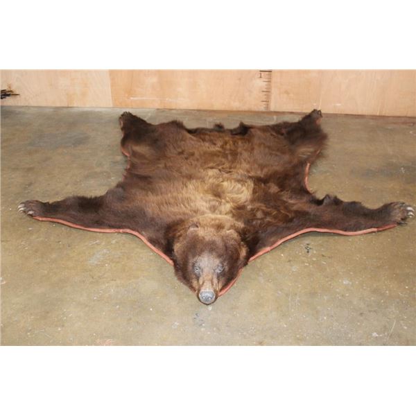 Big Cinnamon Phase BLACKBEAR Hide or BLACKBEAR Rug with Carpet Backing and Leather Piping