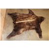 Image 3 : Big Cinnamon Phase BLACKBEAR Hide or BLACKBEAR Rug with Carpet Backing and Leather Piping