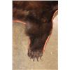 Image 4 : Big Cinnamon Phase BLACKBEAR Hide or BLACKBEAR Rug with Carpet Backing and Leather Piping