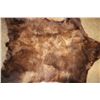 Image 8 : Big Cinnamon Phase BLACKBEAR Hide or BLACKBEAR Rug with Carpet Backing and Leather Piping
