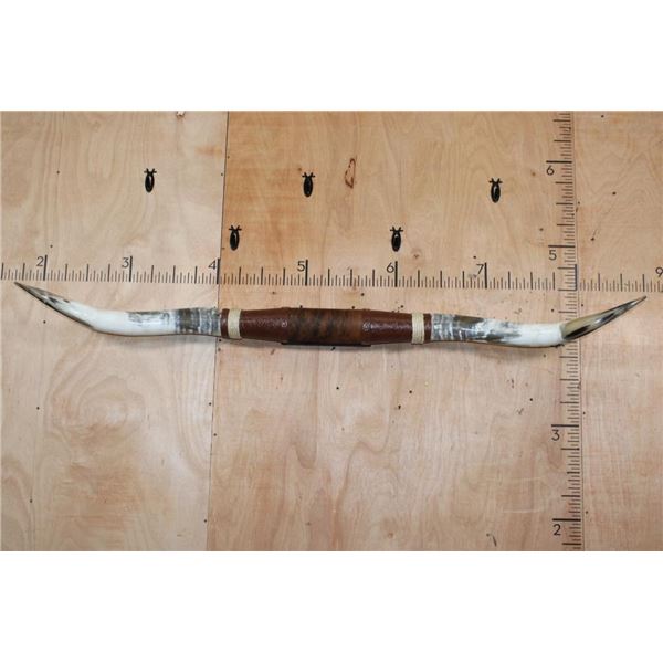 *New* XL Mounted LONGHORNS with Leather Accents