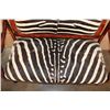 Image 4 : Antique ZEBRA Hide SETTEE or LOVE SEAT