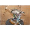 Image 2 : *Rarely Seen* BLACK-TAILED GODWIT on a Decorative Wood Base