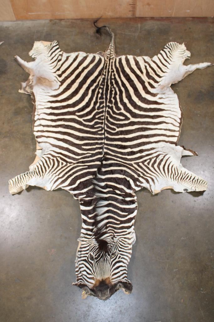 Vebra Hide ZEBRA Hide or ZEBRA Rug