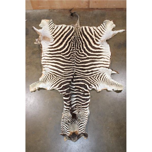 ZEBRA Hide or ZEBRA Rug