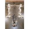 Image 1 : ZEBRA Hide or ZEBRA Rug