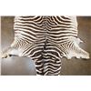 Image 4 : ZEBRA Hide or ZEBRA Rug