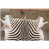 Image 5 : ZEBRA Hide or ZEBRA Rug