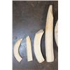 Image 3 : Big Set of (11) HIPPOPOTAMUS Ivory Teeth