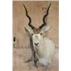 Image 1 : *TEXAS RESIDENTS ONLY* ADDAX Wall Pedestal Mount