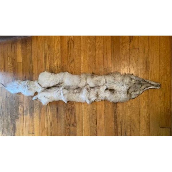 *New* Soft and Tanned BLUE RANCH FOX Fur, Hide or Pelt with its Head and Big Tail