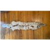 Image 1 : *New* Soft and Tanned BLUE RANCH FOX Fur, Hide or Pelt with its Head and Big Tail