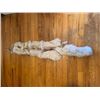 Image 4 : *New* Soft and Tanned BLUE RANCH FOX Fur, Hide or Pelt with its Head and Big Tail