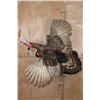 Image 1 : Life-sized Flying TURKEY Mounted on Driftwood