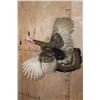 Image 2 : Life-sized Flying TURKEY Mounted on Driftwood