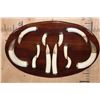 Image 1 : Set of (12) Ivory HIPPOPOTAMUS Tusks Displayed on a Wood Plaque