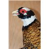 Image 5 : Life-sized Flying REEVE'S PHEASANT Mounted on Driftwood