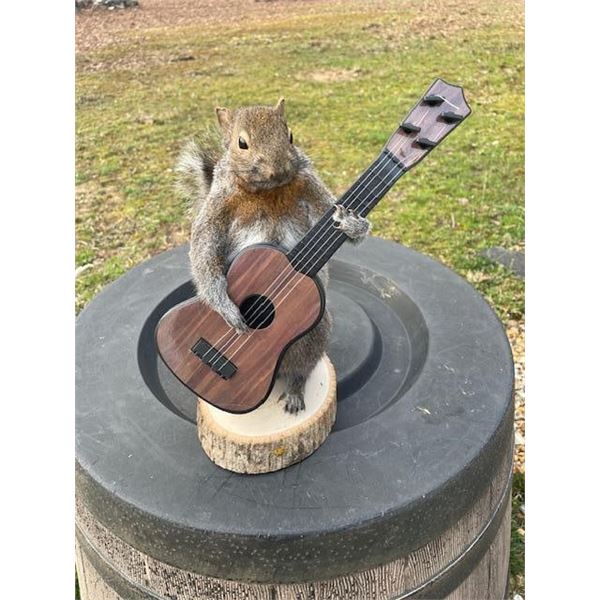 Life-sized Guitar Playing SQUIRREL on a Log Slice Base