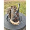 Image 2 : Life-sized Guitar Playing SQUIRREL on a Log Slice Base