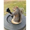 Image 4 : Life-sized Guitar Playing SQUIRREL on a Log Slice Base