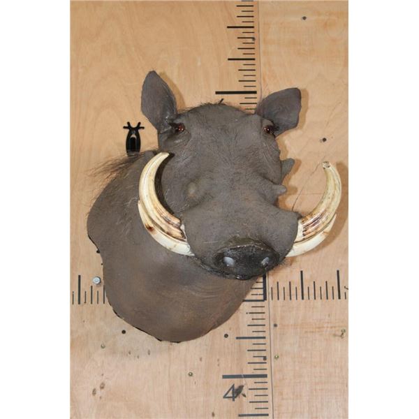 WARTHOG Wall Pedestal Mount