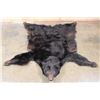 Image 2 : Big BLACKBEAR Hide or BLACKBEAR Rug with Carpet Backing and Leather Piping