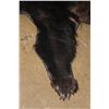 Image 4 : Big BLACKBEAR Hide or BLACKBEAR Rug with Carpet Backing and Leather Piping