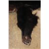 Image 5 : Big BLACKBEAR Hide or BLACKBEAR Rug with Carpet Backing and Leather Piping