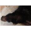 Image 6 : Big BLACKBEAR Hide or BLACKBEAR Rug with Carpet Backing and Leather Piping