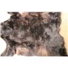 Image 8 : Big BLACKBEAR Hide or BLACKBEAR Rug with Carpet Backing and Leather Piping