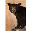 Image 5 : Life-sized BLACK BEAR on a Decorative Wood Base