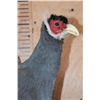 Image 4 : Flying BLUE EARED PHEASANT on a Log Base