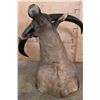 Image 7 : Massive WATER BUFFALO Shoulder Mount