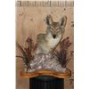 Image 1 : COYOTE on a Decorative Table Pedestal Mount