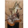 Image 3 : COYOTE on a Decorative Table Pedestal Mount