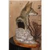 Image 5 : COYOTE on a Decorative Table Pedestal Mount