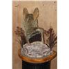 Image 6 : COYOTE on a Decorative Table Pedestal Mount