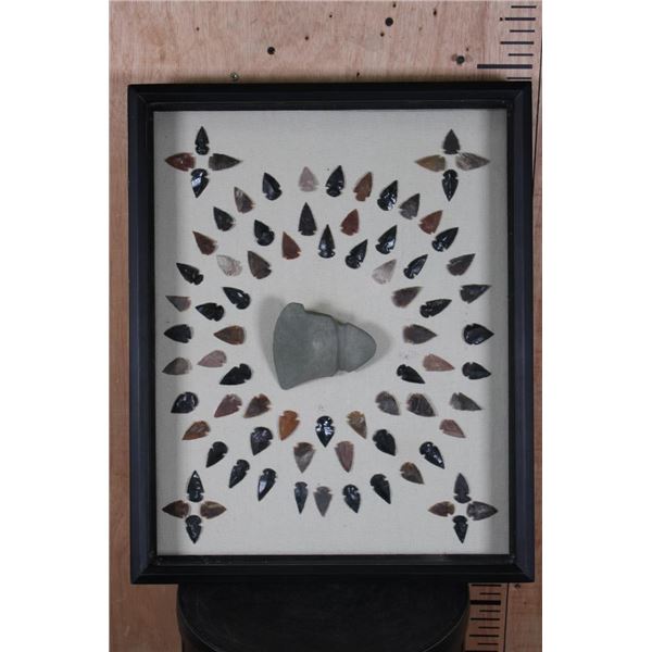 (80) Contemporary ARROWHEADS or Bird Points and (1) AXE Head in a Display Case