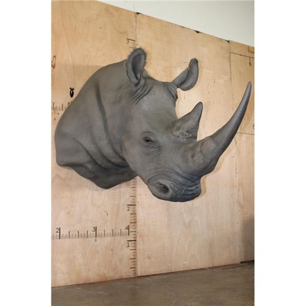 Full Reproduction WHITE RHINOCERAS Shoulder Mount