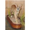 Image 3 : Life-sized CARACAL CAT on a Wood Base with Wheels