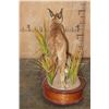 Image 7 : Life-sized CARACAL CAT on a Wood Base with Wheels