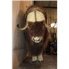 Image 4 : Big Life-sized MUSKOX on Bolts with No Base