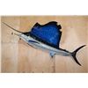 Image 1 : XXL Reproduction SAILFISH Mount