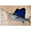 Image 2 : XXL Reproduction SAILFISH Mount