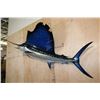 Image 3 : XXL Reproduction SAILFISH Mount