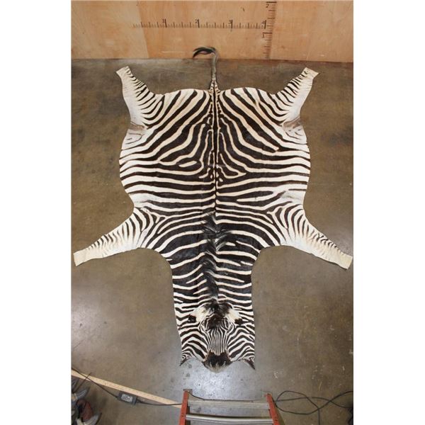 XL *Like New* ZEBRA Hide or ZEBRA Rug