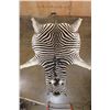 Image 1 : XL *Like New* ZEBRA Hide or ZEBRA Rug