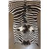 Image 4 : XL *Like New* ZEBRA Hide or ZEBRA Rug