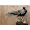 Image 3 : SILVER REEVE'S PHEASANT Perched on a Log and Wood Plaque Base